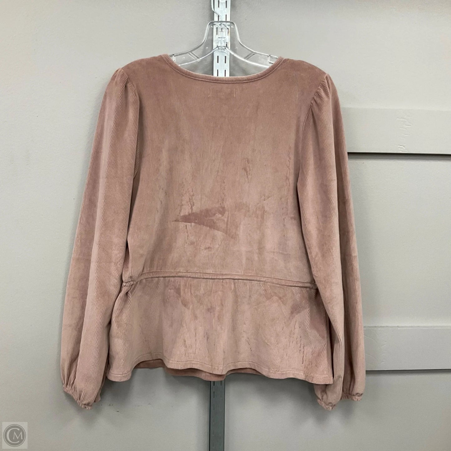 Top Long Sleeve By Madewell In Pink, Size: L