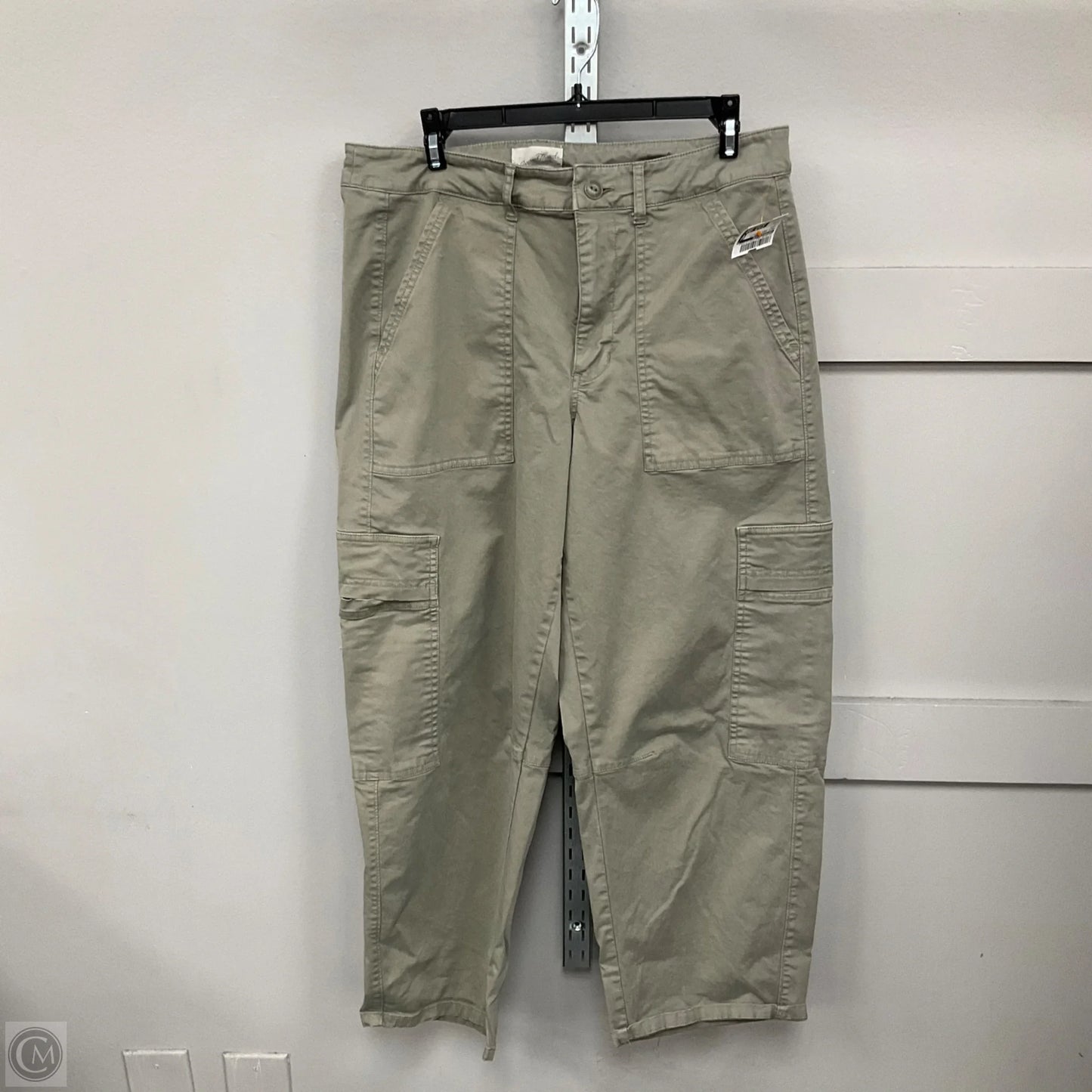Pants Cargo & Utility By Universal Thread In Green, Size: 12