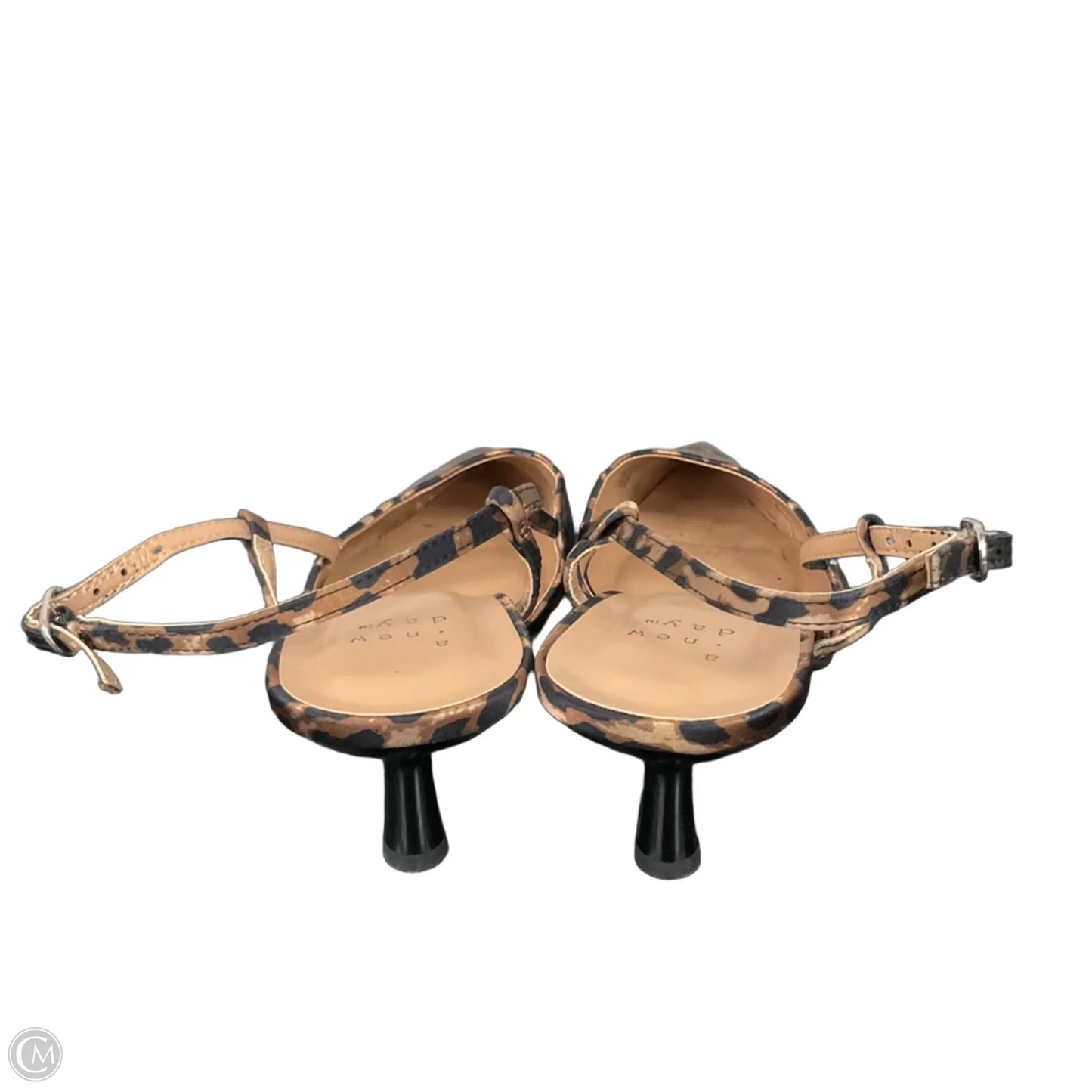 Shoes Heels Kitten By A New Day In Animal Print, Size: 7.5