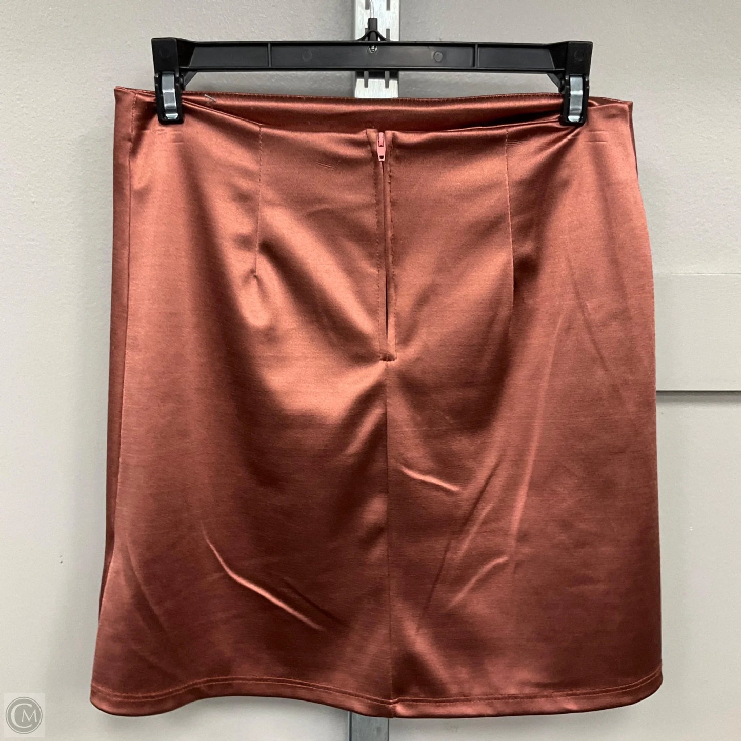 Skirt Mini & Short By Originality In Rose Gold, Size: M