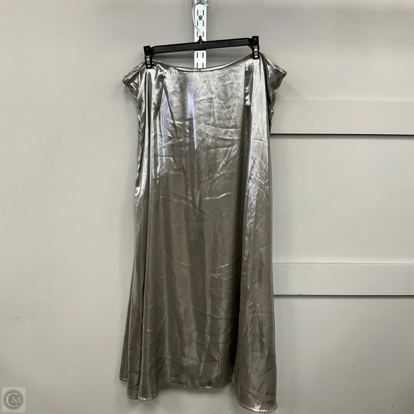 Skirt Maxi By Clothes Mentor In Silver, Size: L