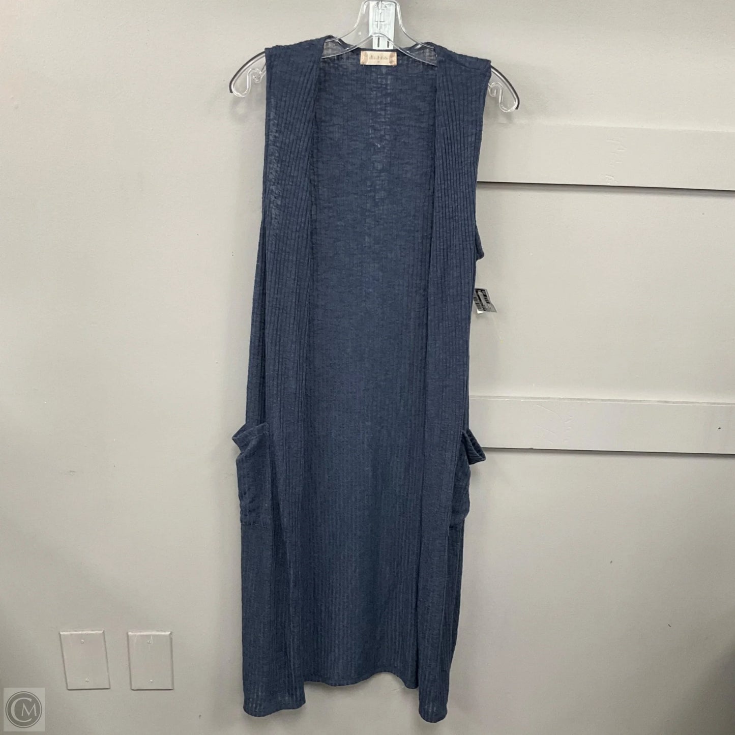 Cardigan By Altard State In Blue, Size: M