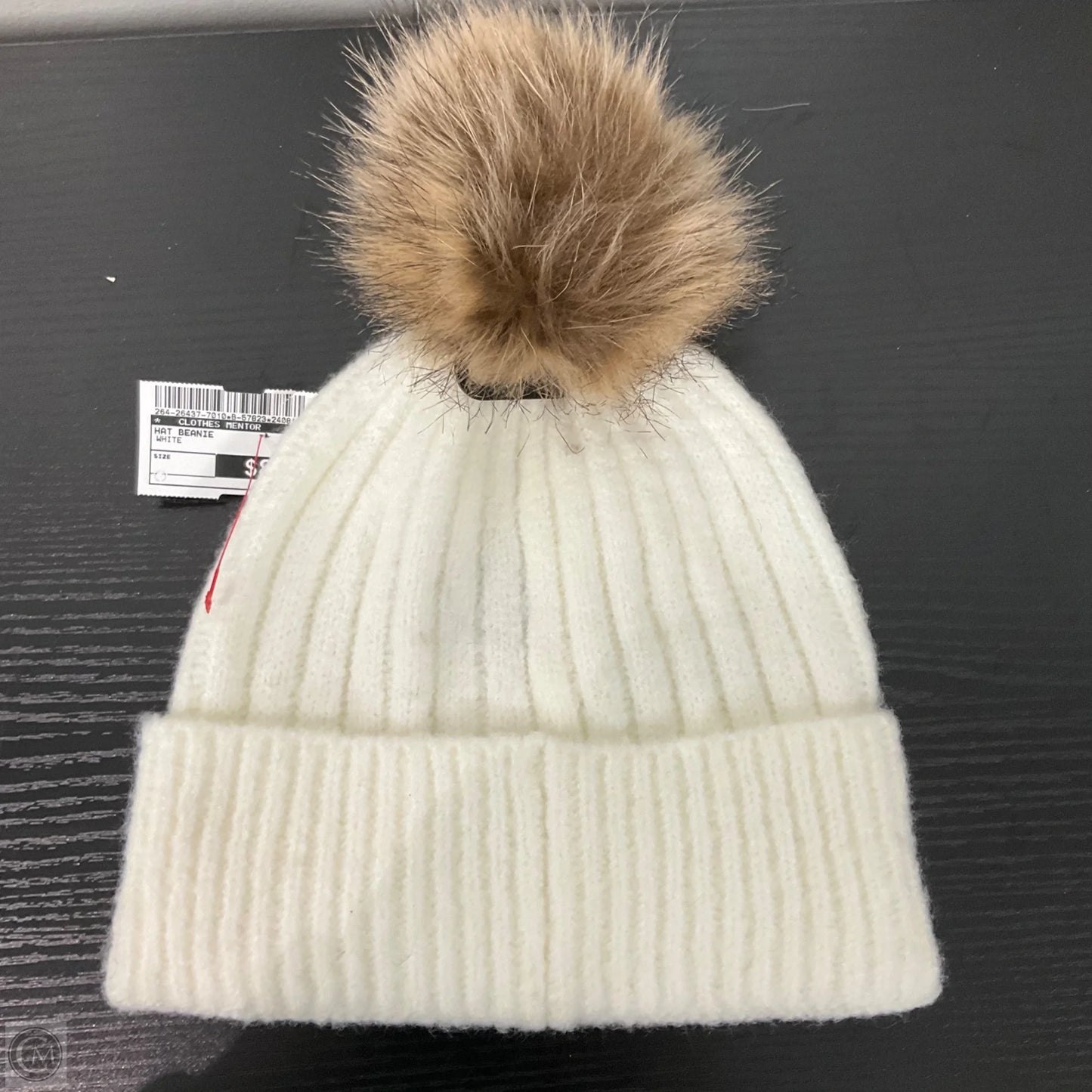 Hat Beanie By Clothes Mentor