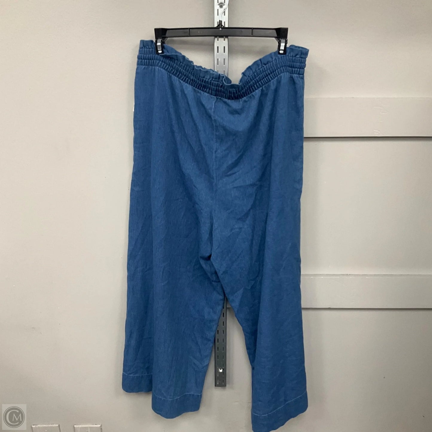 Pants Other By Madewell In Blue, Size: Xl