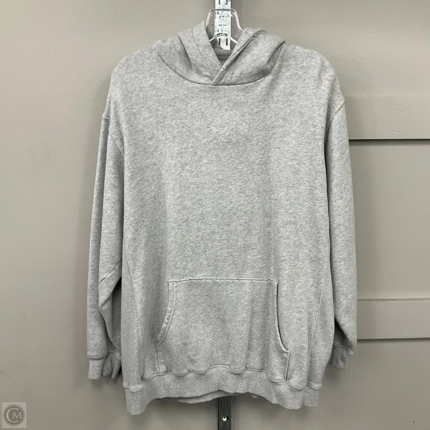 Sweatshirt Hoodie By Aerie In Grey, Size: M
