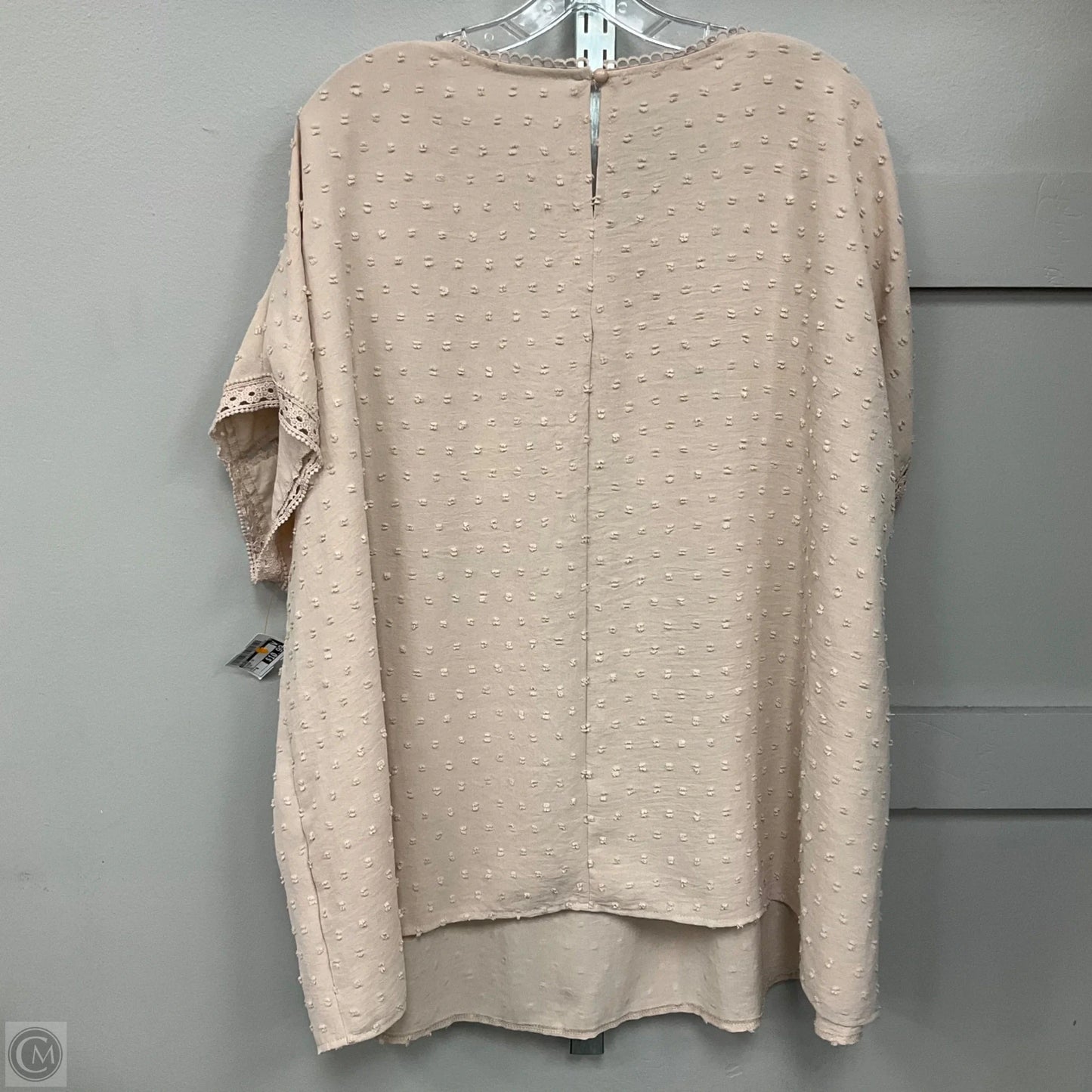 Blouse Short Sleeve By Shein In Beige, Size: 6XL