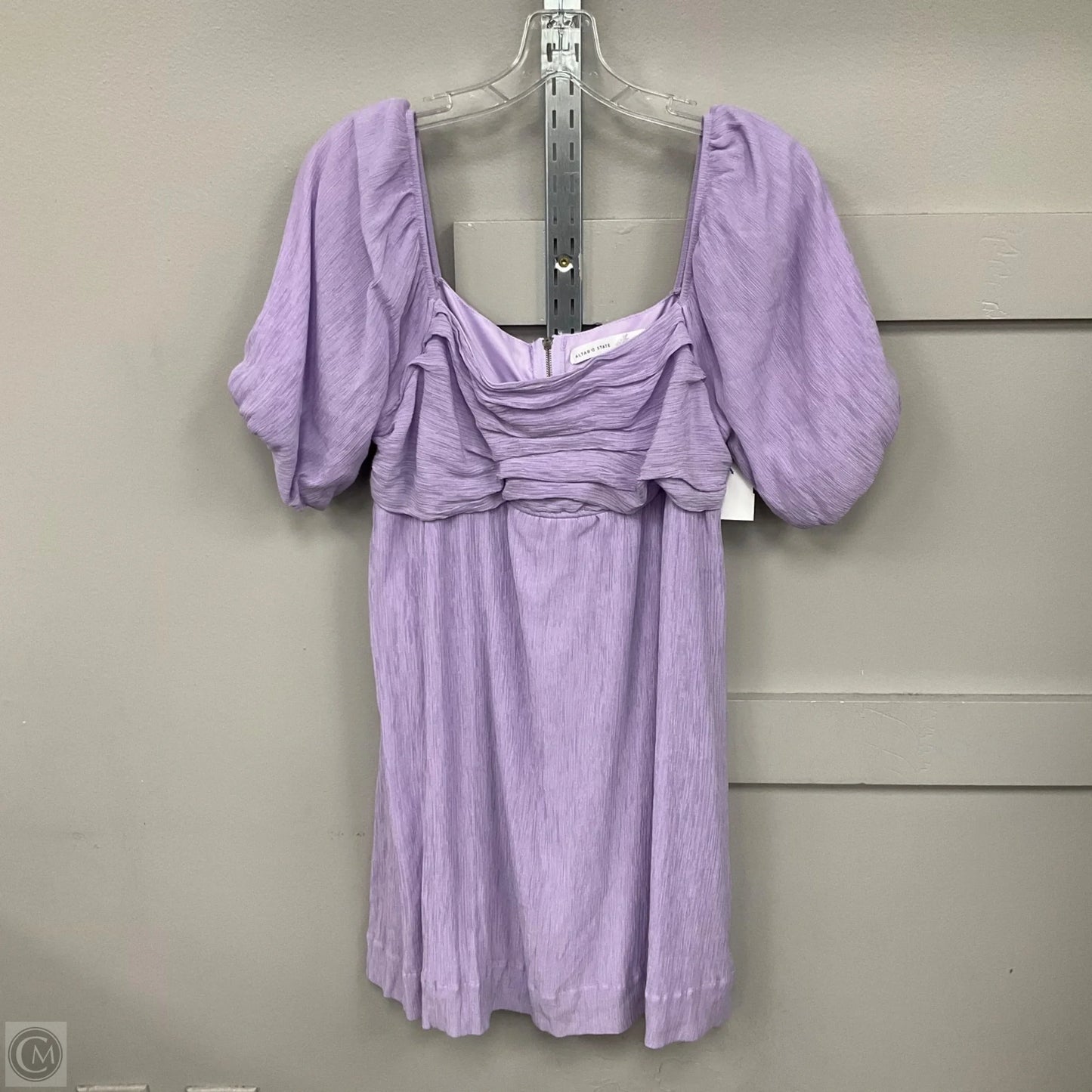 Dress Casual Short By Altard State In Purple, Size: Xl