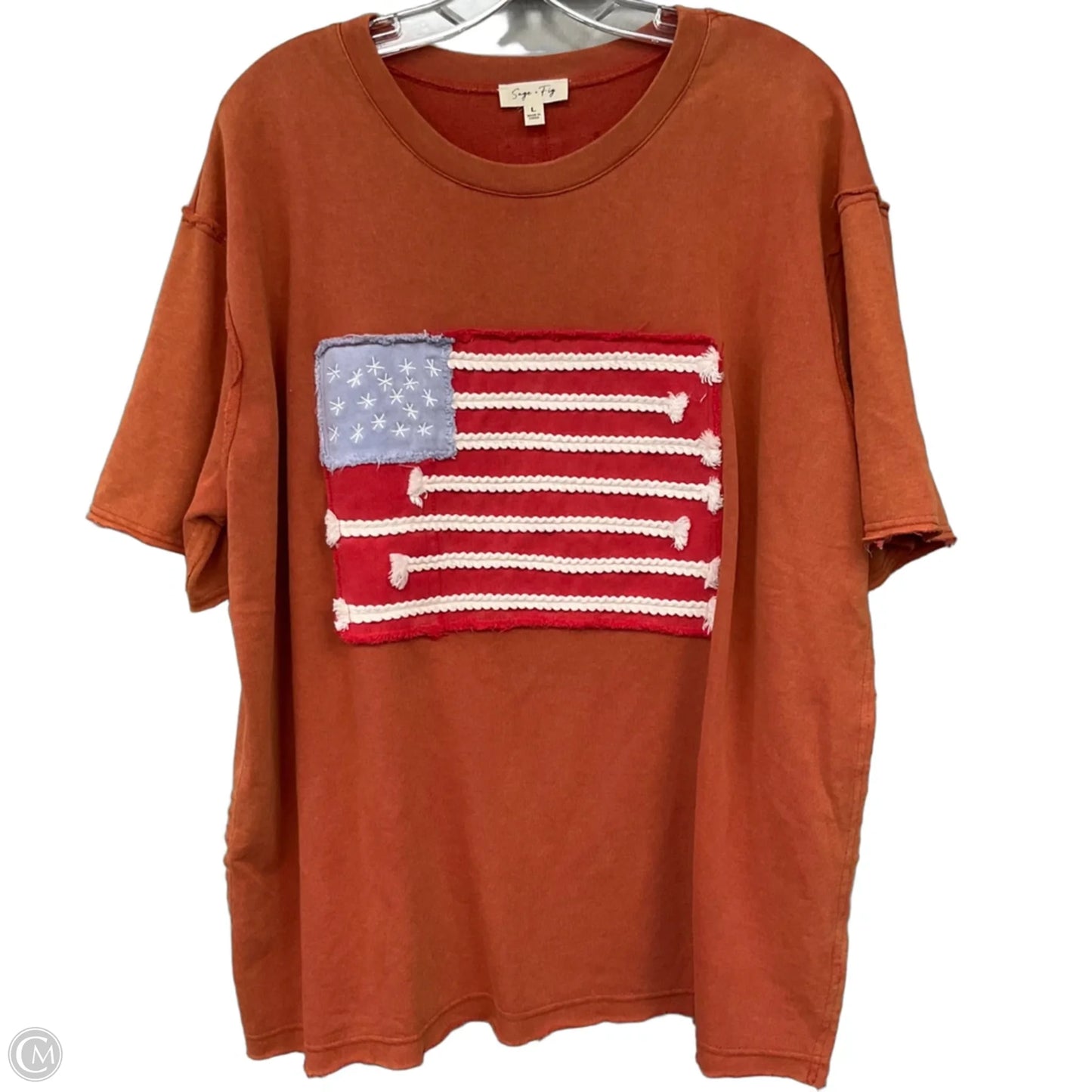 Top Short Sleeve Basic By Clothes Mentor In Orange, Size: L