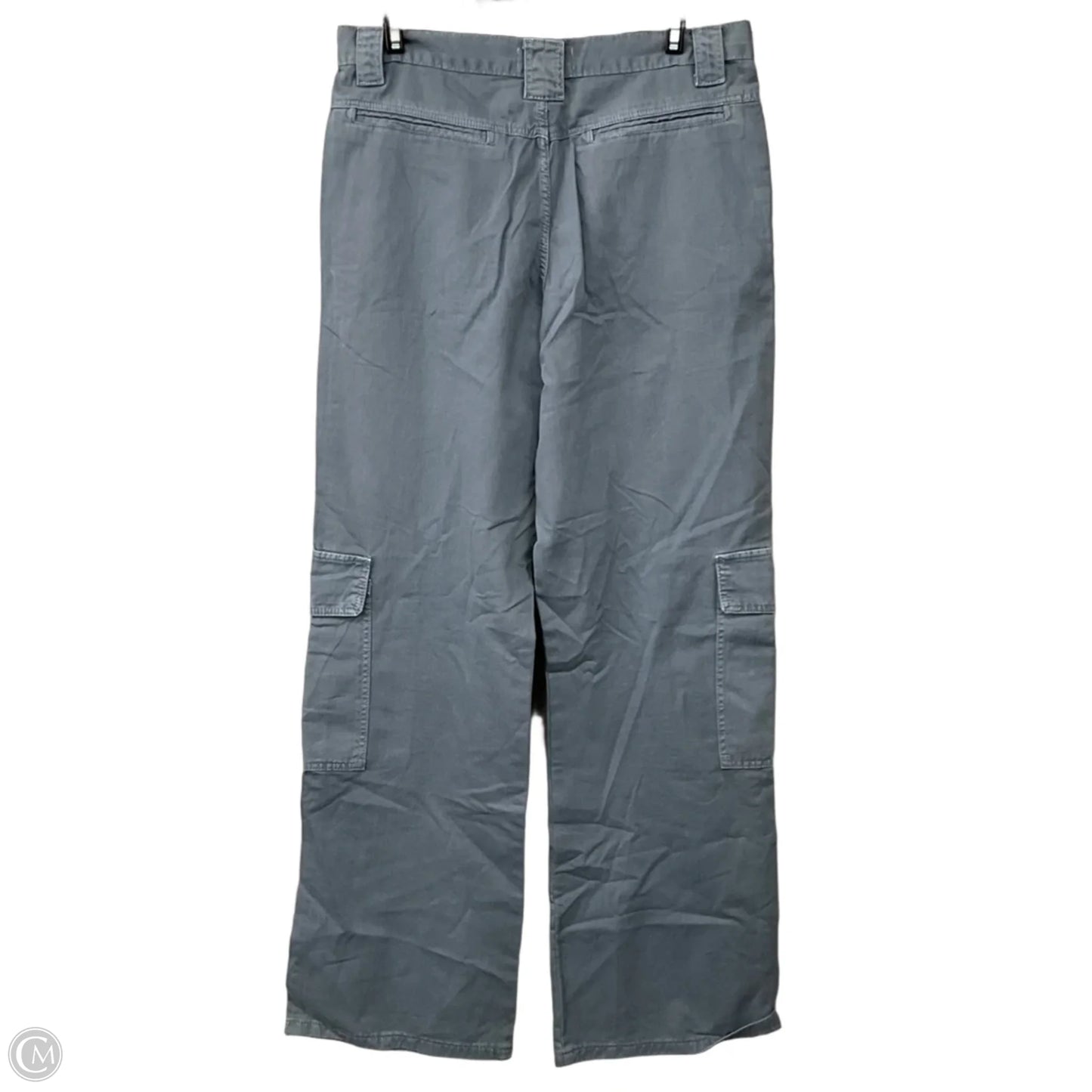 Pants Cargo & Utility By Zara In Blue, Size: 4