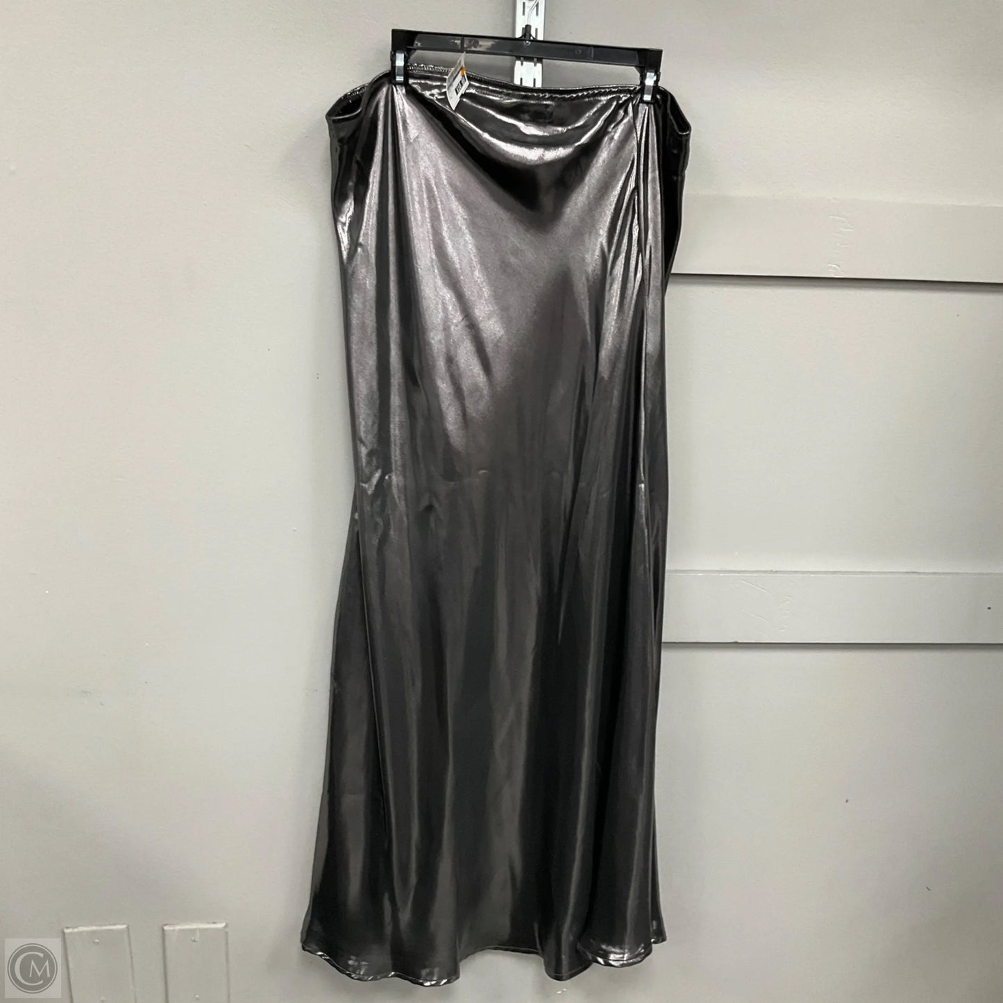 Skirt Maxi By Wild Fable In Silver, Size: L