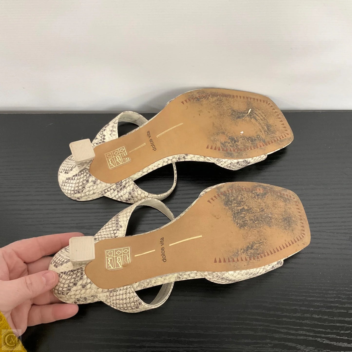 Sandals Heels Kitten By Dolce Vita In Snakeskin Print, Size: 8