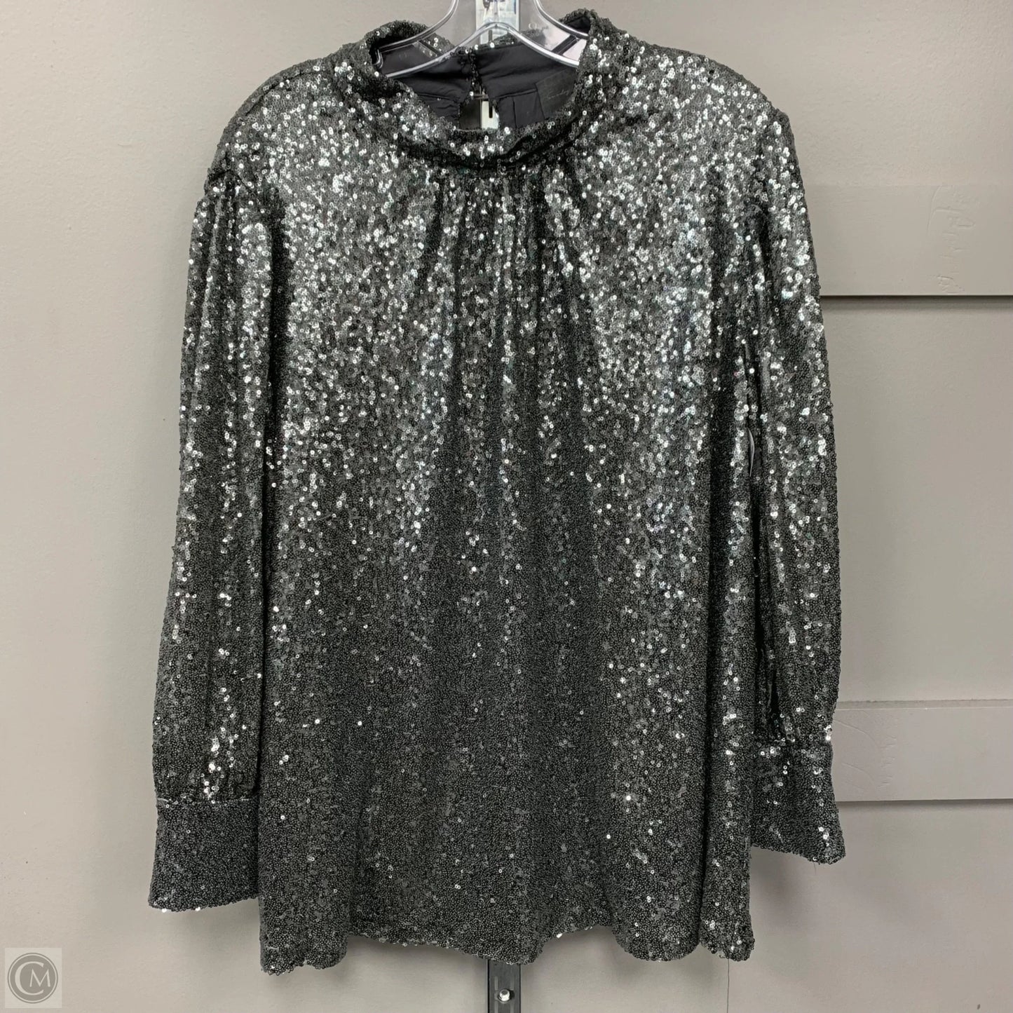 Top Long Sleeve By Anthropologie In Silver, Size: 3x