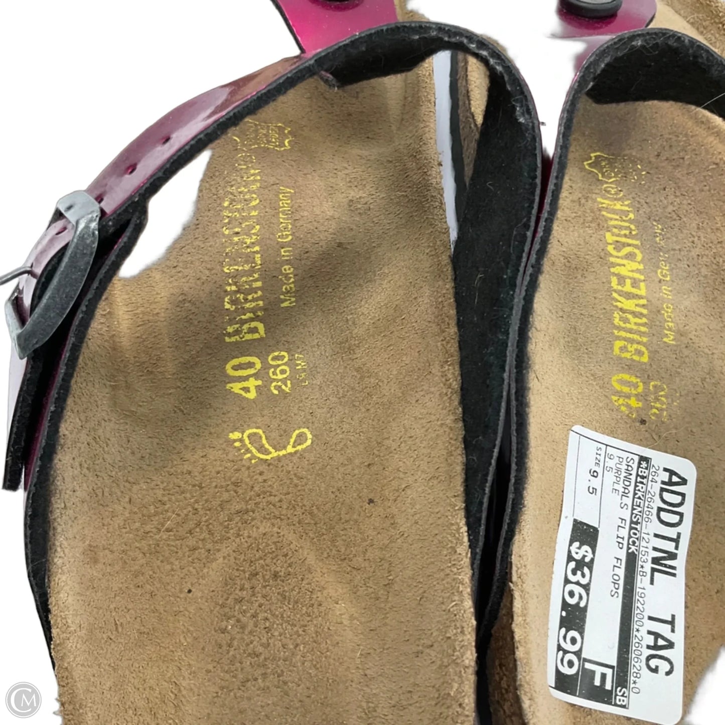 Sandals Flip Flops By Birkenstock In Magenta, Size: 9