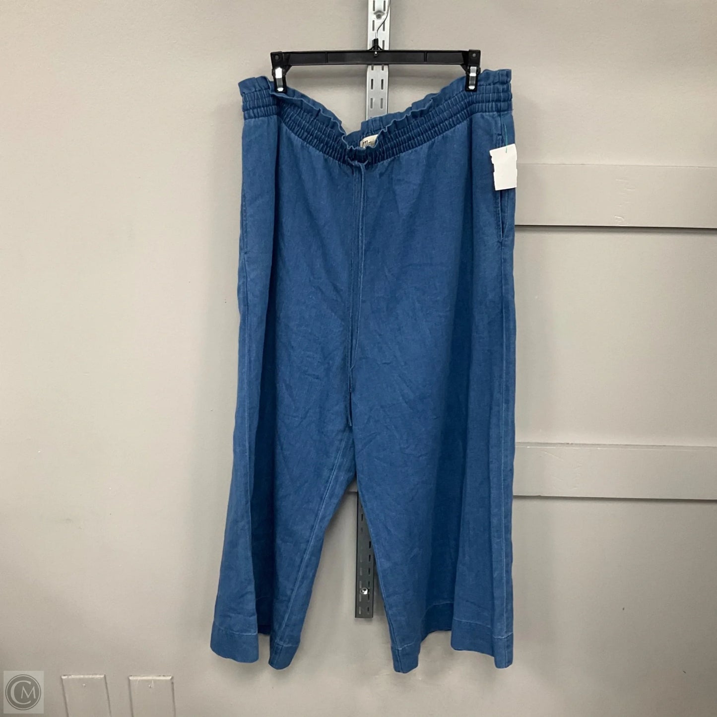 Pants Other By Madewell In Blue, Size: Xl
