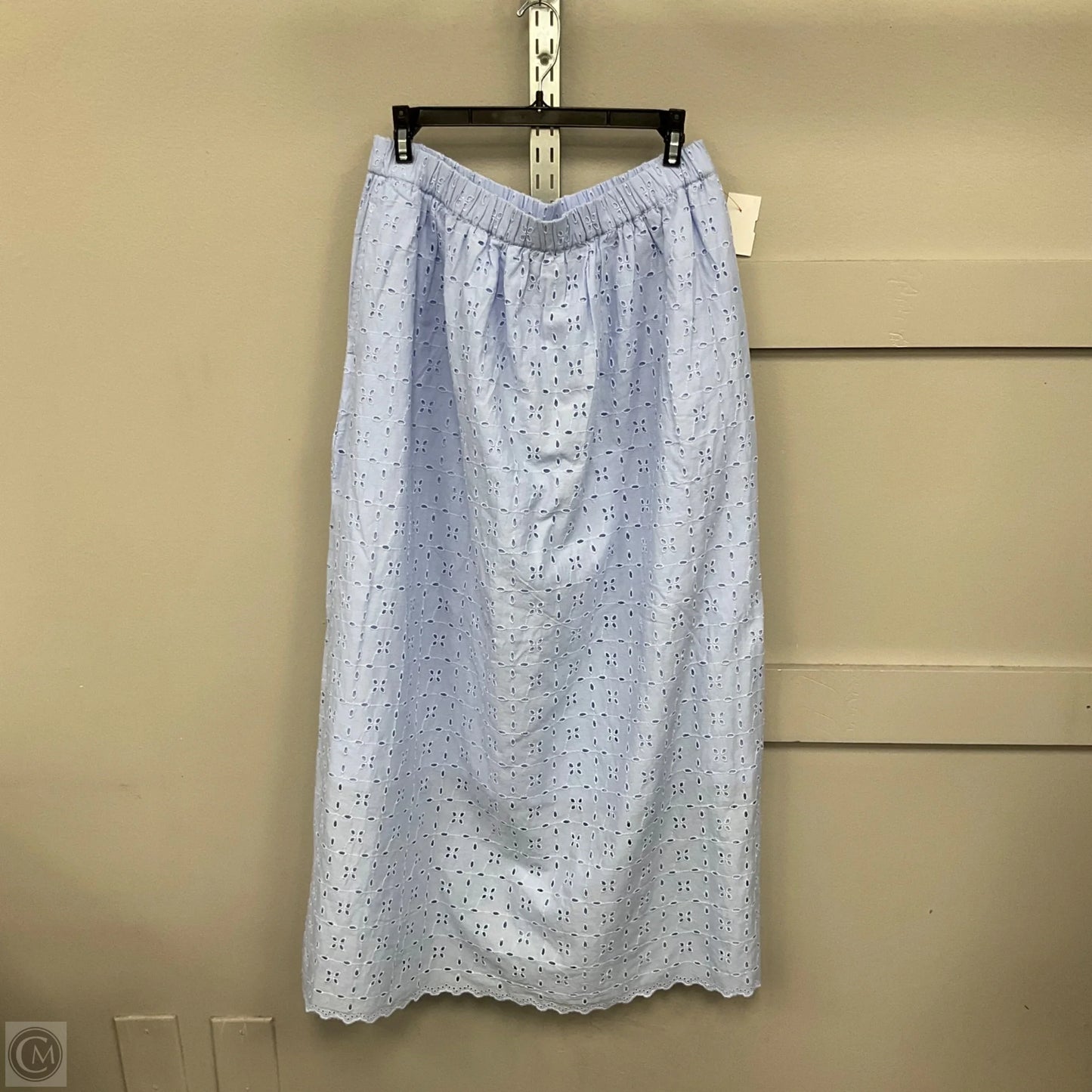 Skirt Maxi By Universal Thread In Blue, Size: M
