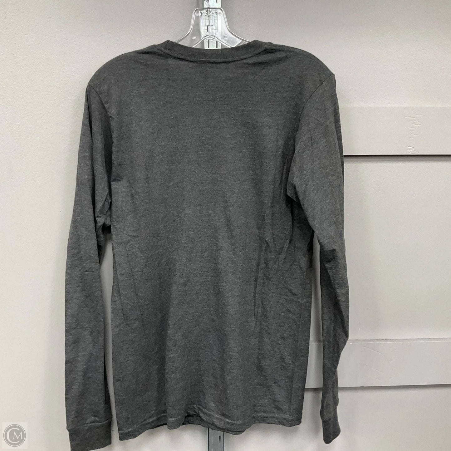 Top Long Sleeve Basic By Tultex In Grey, Size: S