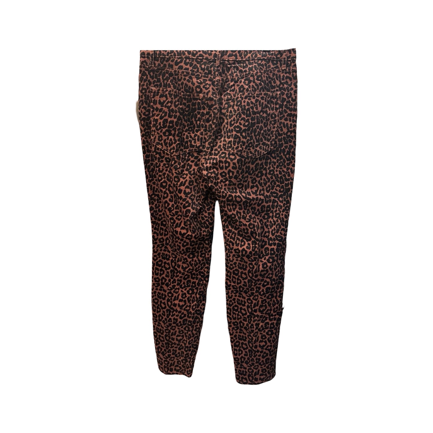 Pants Corduroy By Loft In Animal Print, Size: 6