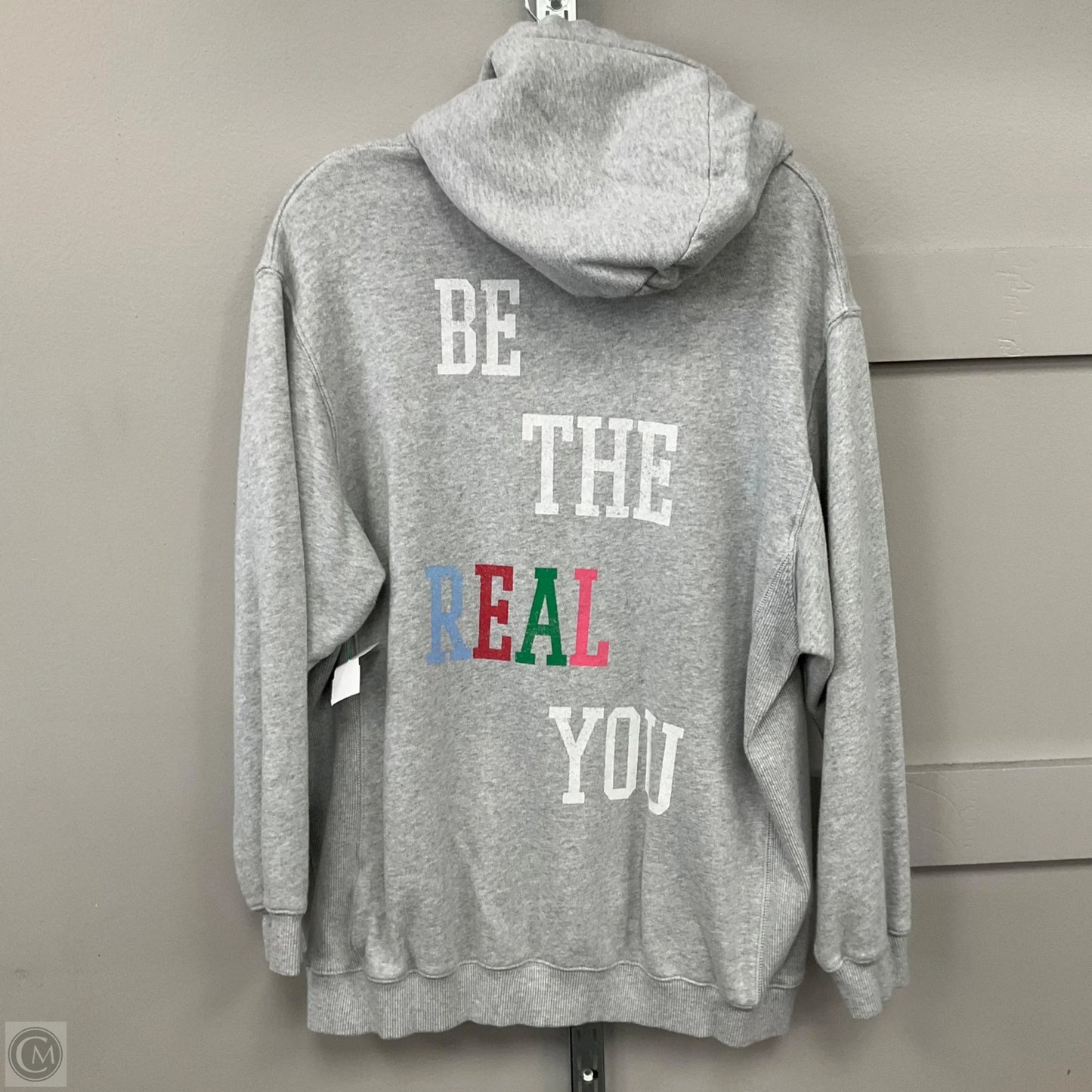 Sweatshirt Hoodie By Aerie In Grey, Size: M