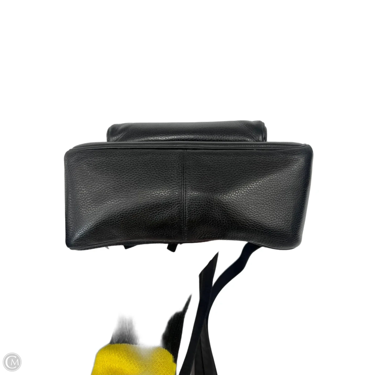 Backpack Designer By Coach, Size: Medium