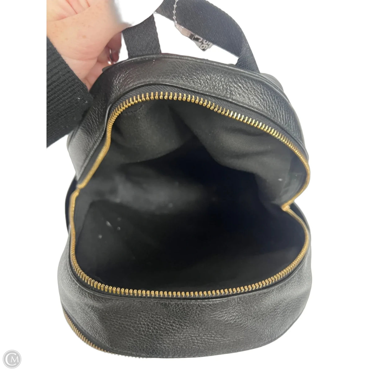 Backpack Designer By Coach, Size: Medium