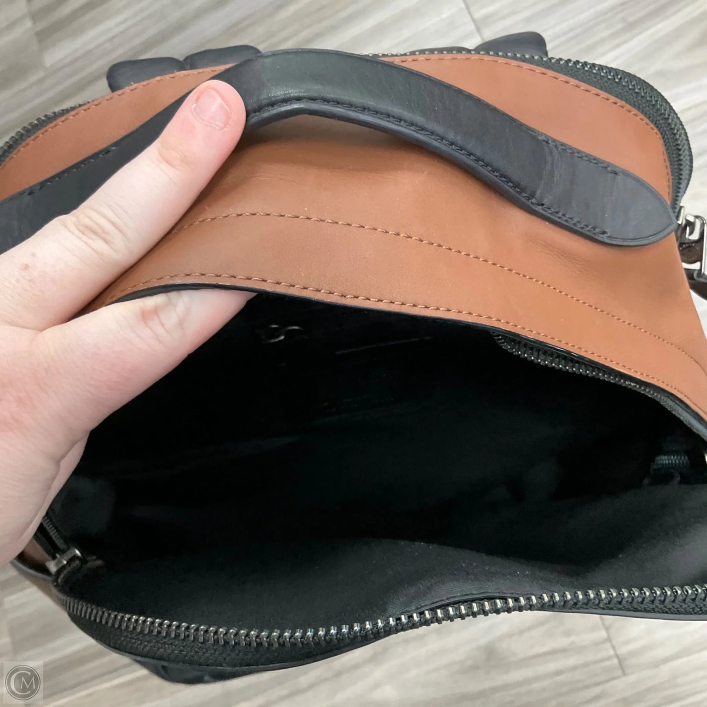 Backpack Designer By Coach, Size: Medium