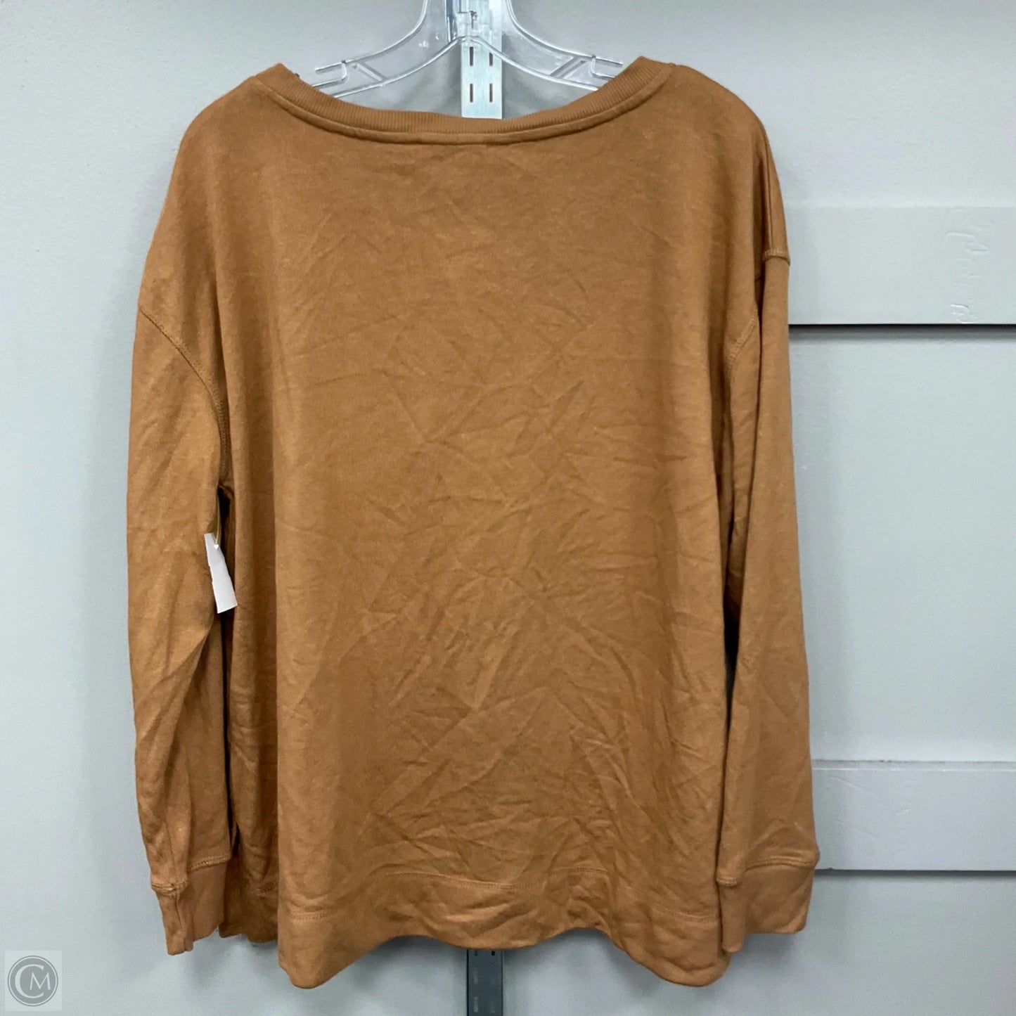 Top Long Sleeve By Jane And Delancey In Brown, Size: L