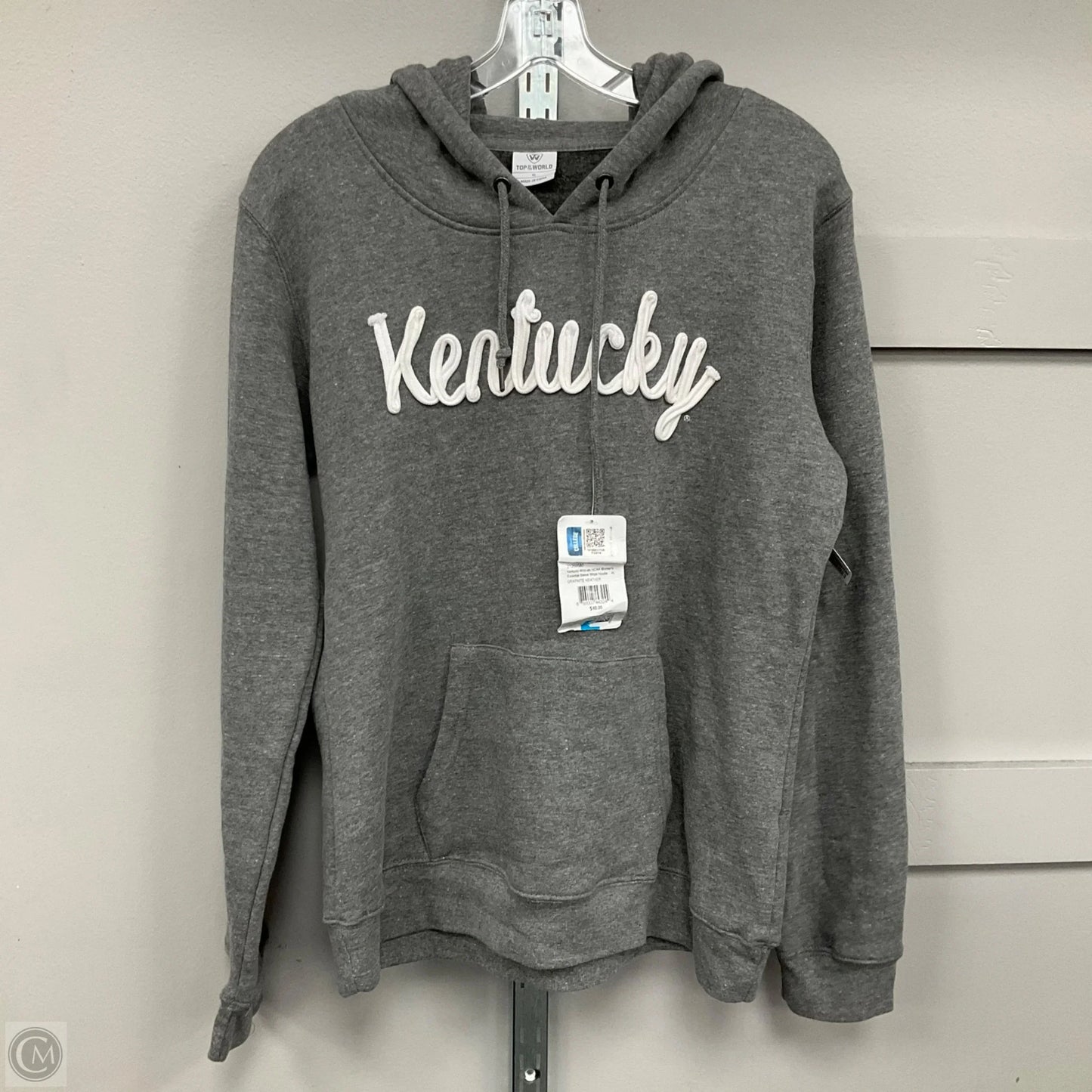 Sweatshirt Hoodie By Top Of The World In Grey, Size: Xl