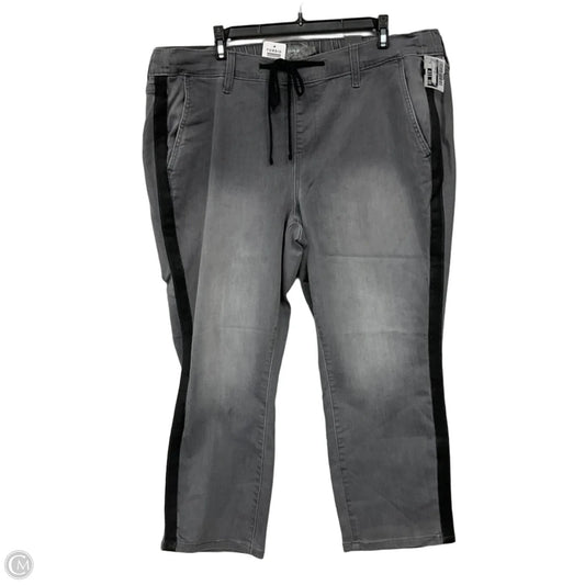 Pants Other By Torrid In Grey, Size: 2x