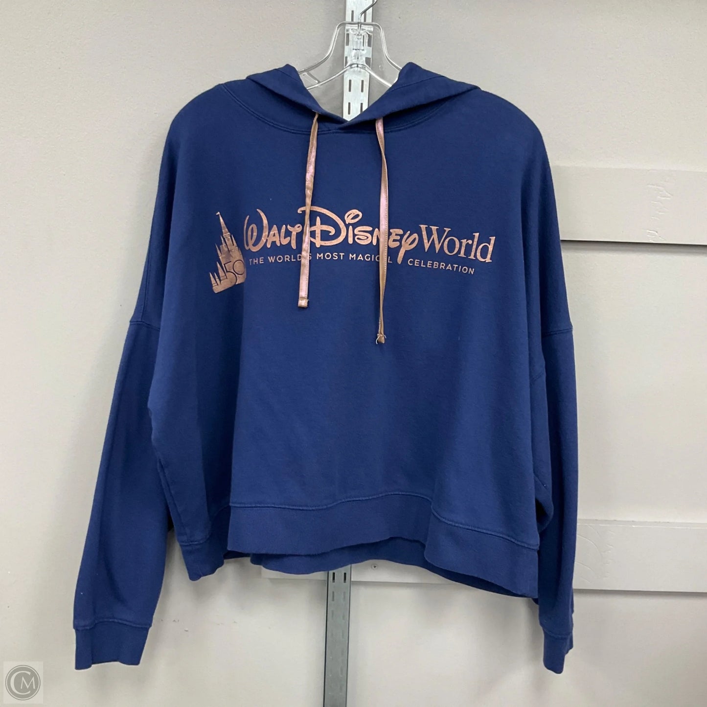 Sweatshirt Hoodie By Disney Store In Blue, Size: 1x