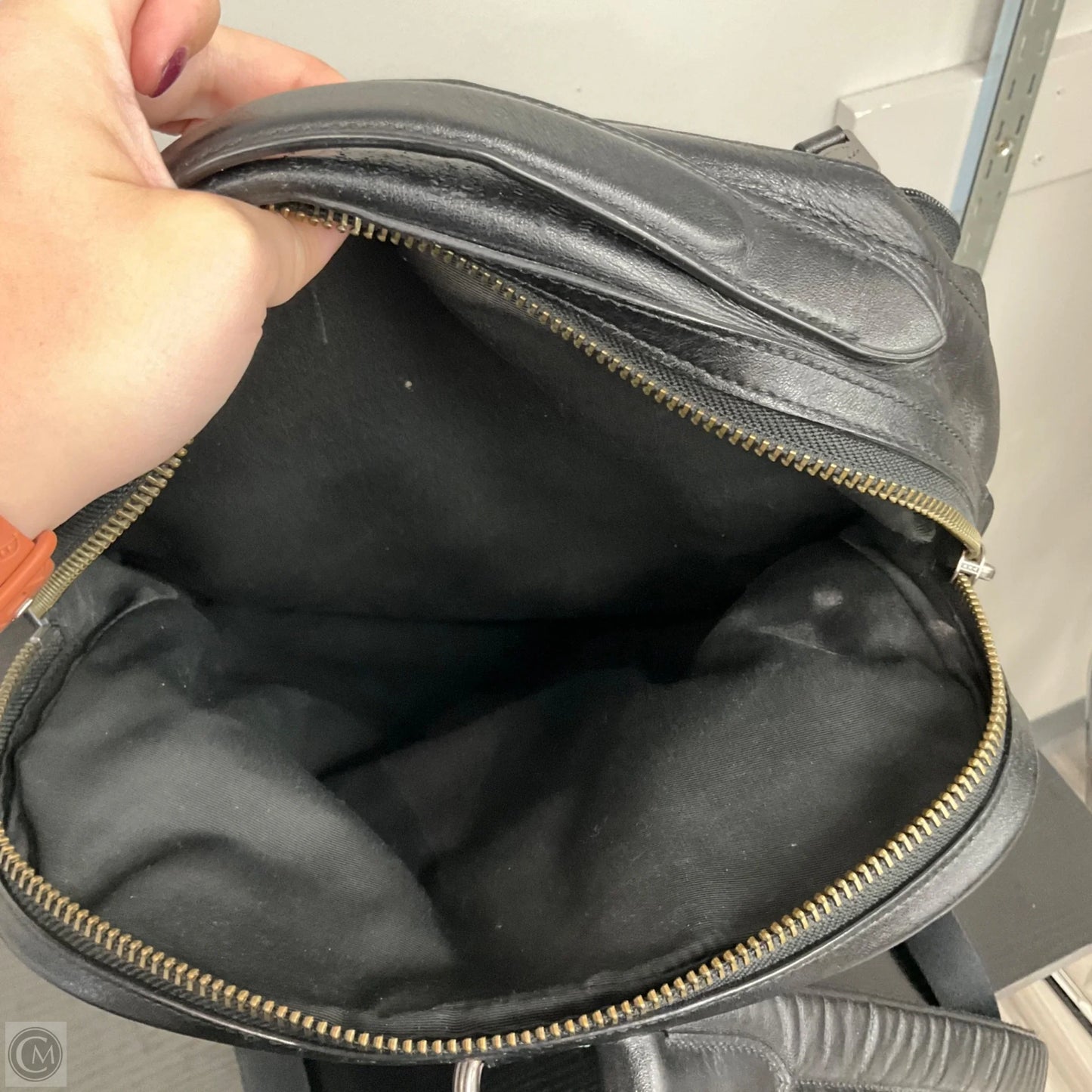 Backpack Designer By Coach, Size: Large